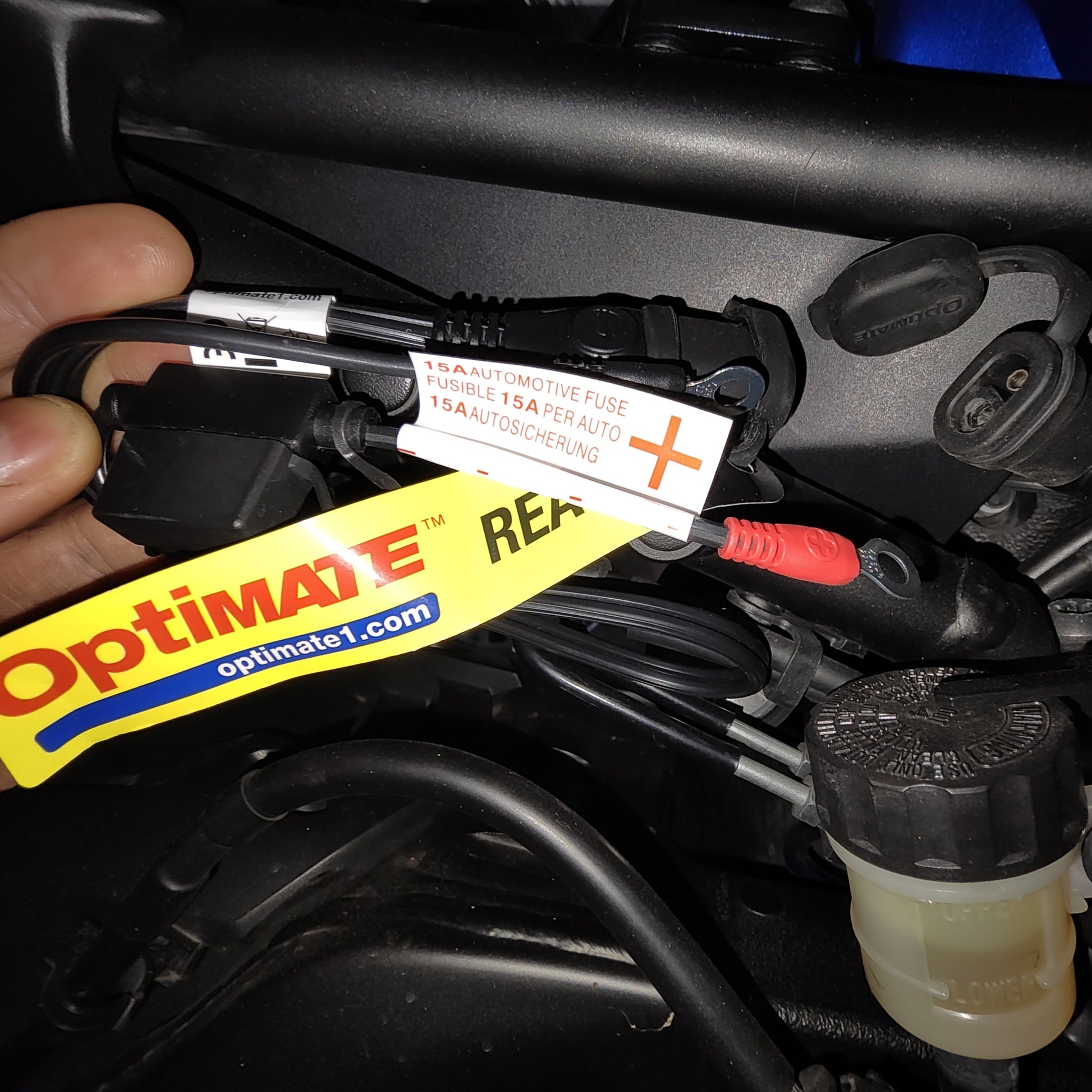 optional 15Amp accessory lead to fit directly to battery terminals